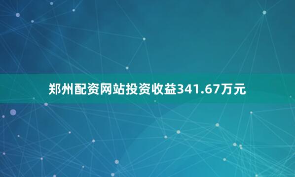 郑州配资网站投资收益341.67万元